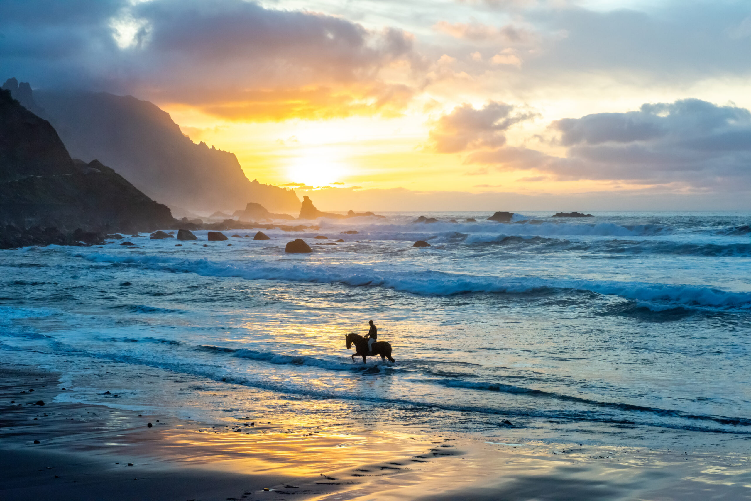 The Soul Journey You Share with Your Animal Companion
