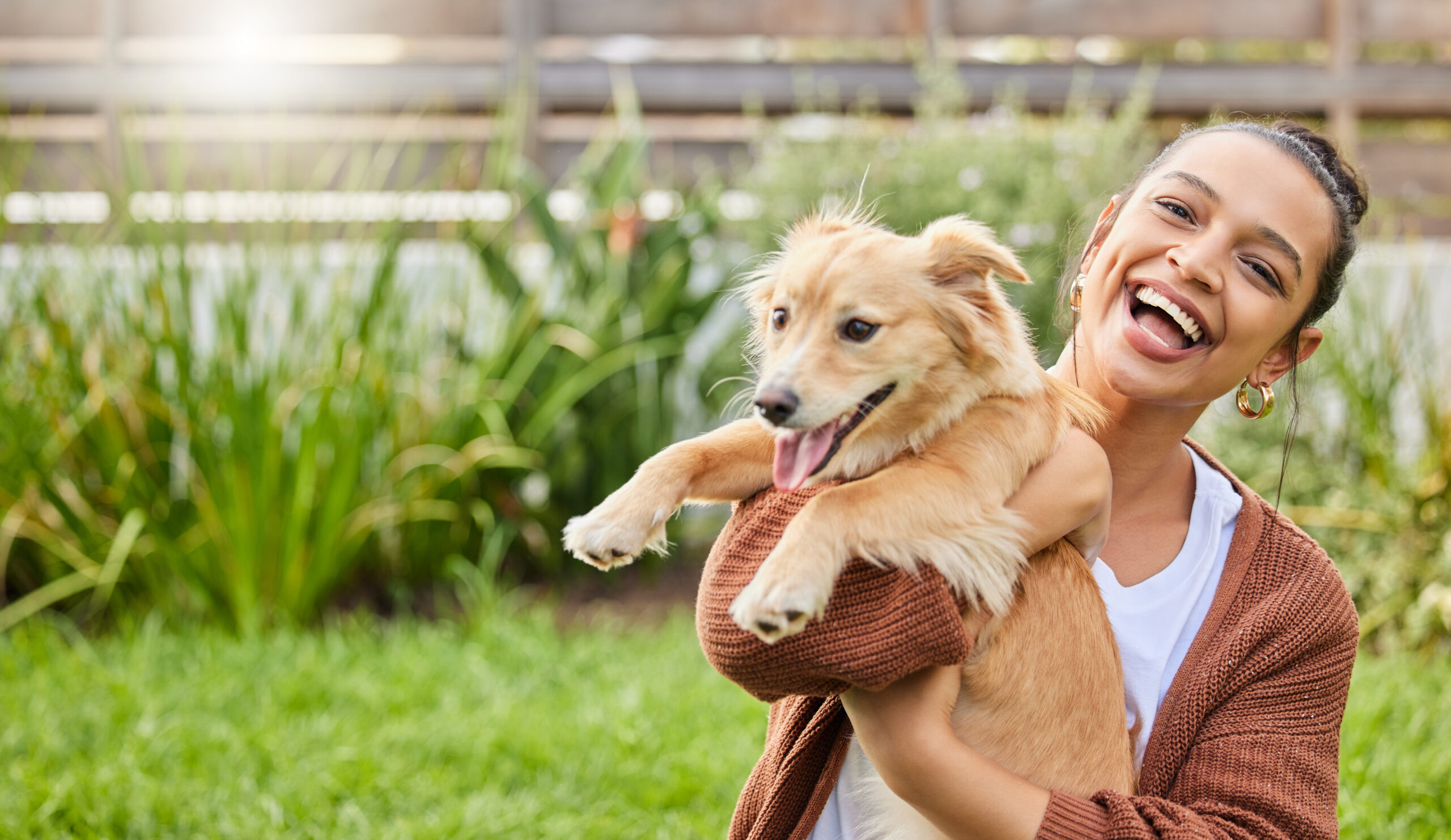 A Bond That Transcends Time: The Soul Connection We Share with Our Animal Companions
